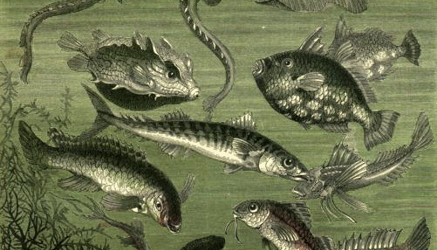 Mapping the Abyssal Imagination: A Literary Survey of Speculative Fiction’s Deep-Sea Masterpieces